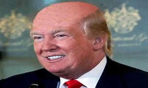 Image result for Funny Zoom Backgrounds Trump