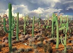 Image result for Desert Cactus Eyes Walpaper