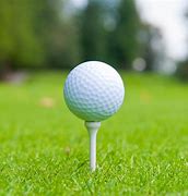 Image result for Golf Ball