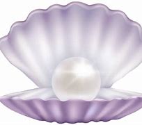 Image result for Clam with Pearl Clip Art
