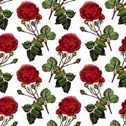 Image result for Rose iPhone Background