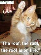 Image result for Roof Cat Meme