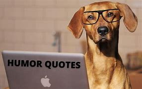 Image result for Quotes On Humor