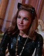 Image result for 14 Intrestin Facts 60s Batman TV Show