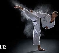 Image result for Martial Arts 4K