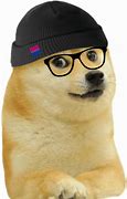 Image result for Cheems Doge
