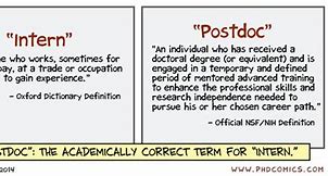Image result for Difference Between PhD and Doctorate