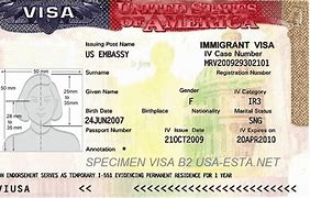 Image result for Visa Tourism