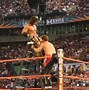 Image result for WWE Ladder Match