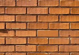 Image result for European Brick Wall