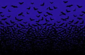 Image result for Purple Bat Background
