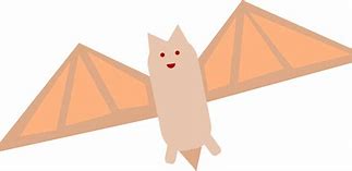 Image result for Cutest Bat