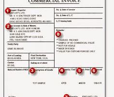 Image result for Commercial Invoice Template Free Download