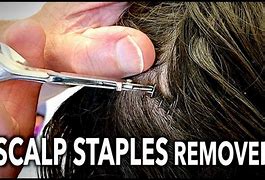 Image result for Staple On Head Movie Office