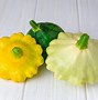 Image result for Different Squash Types Vegetable