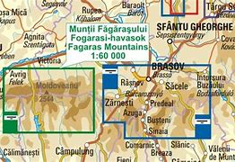 Image result for Fagaras Chemical Plant Map