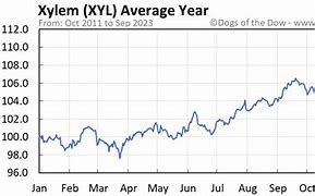 Image result for xyl stock