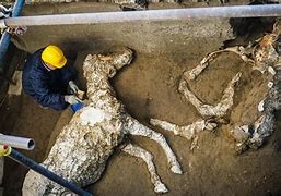 Image result for Pompeii Horse
