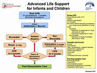 Image result for Pediatric Basic Life Support Algorithm