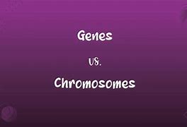 Image result for Gene vs Chromosome