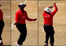 Image result for Funny Cricket Umpire