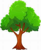 Image result for Tree Drawing Clip Art