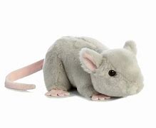 Image result for Toy Mouse
