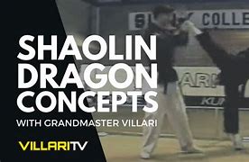 Image result for Shaolin Dragon