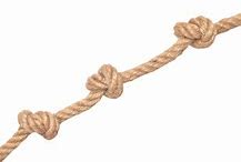 Image result for Anchor in Round Rope PNG Vector