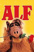 Image result for alf�ndigz