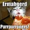 Image result for Vote Pizza Cat Meme