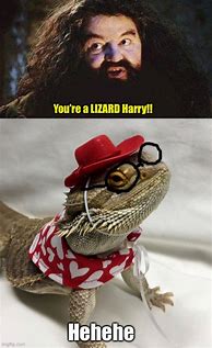 Image result for Heh Lizard Meme