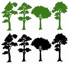 Image result for Tree Shapes Silhouette