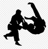 Image result for Jiu Jitsu Art