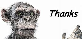 Image result for Thank You Monkey Meme