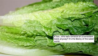 Image result for Lettuce Contaminated Meme