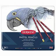 Image result for Derwent Pastel Pencils