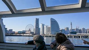 Image result for Yokohama Sea Bass