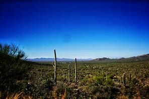 Image result for Arizona Cactus Caves