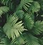 Image result for Green Aesthetic Wallpaper Phone