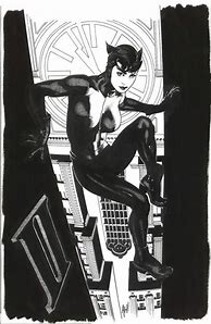 Image result for Catwoman Hughes