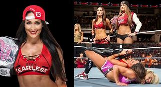 Image result for WWE Nikki Bella and Law Enforcement Officer