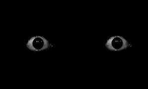 Image result for Scary Eyes Watching You