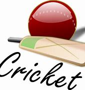 Image result for Cricket Project Pictures