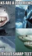 Image result for Smiling Shark Meme