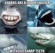 Image result for Quint Shark Meme