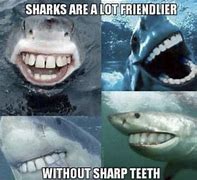 Image result for Fancy Shark Meme