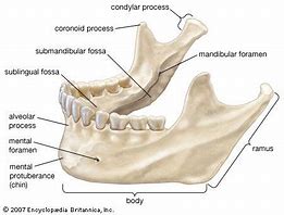 Image result for Jawbone Face