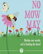Image result for No Mow May Meme