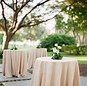 Image result for Navy and Champagne Wedding Colors
